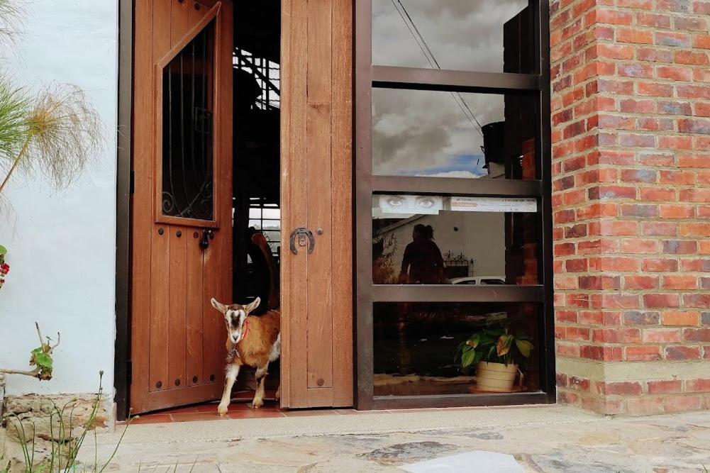 Cabanas & Glamping De Ruana Por Boyaca Paipa Kültér fotó